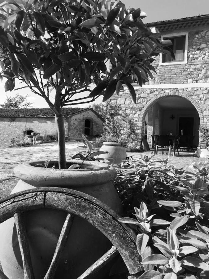 Podere Il Sasso Barberino di Mugello Dış mekan fotoğraf