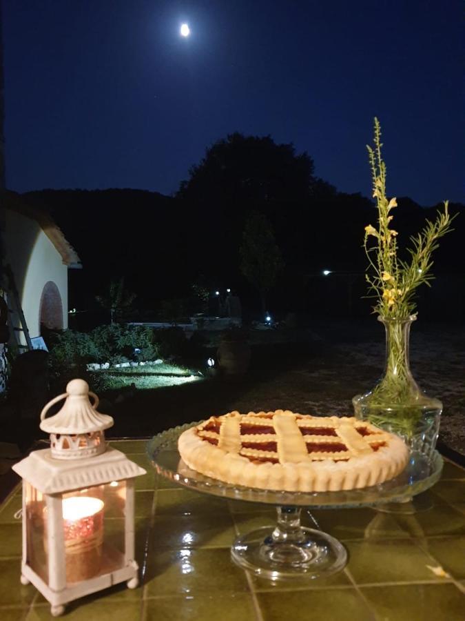 Podere Il Sasso Barberino di Mugello Dış mekan fotoğraf