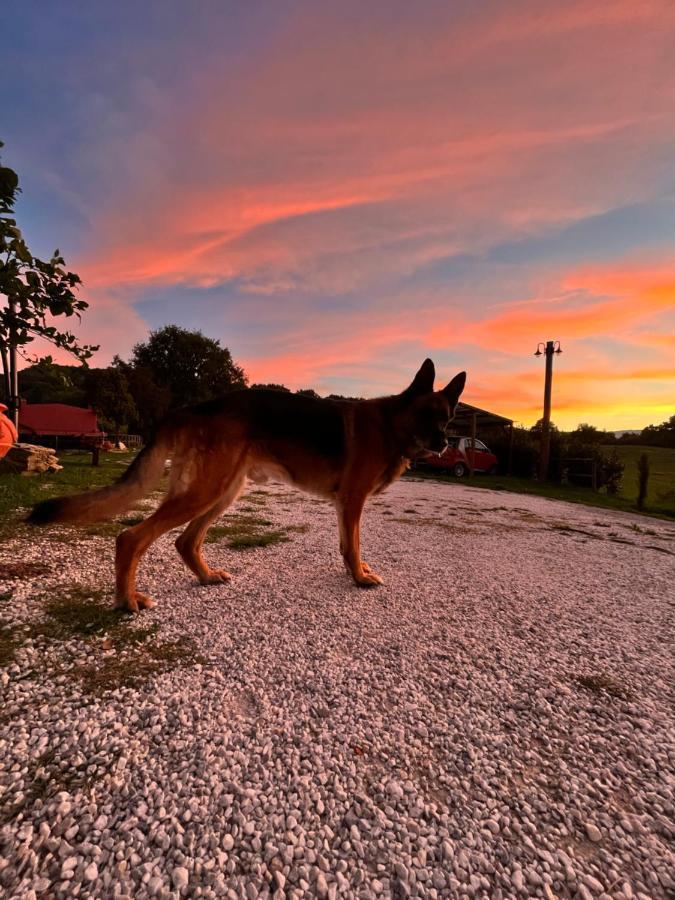 Podere Il Sasso Barberino di Mugello Dış mekan fotoğraf