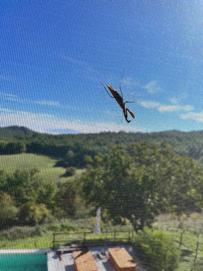 Podere Il Sasso Barberino di Mugello Dış mekan fotoğraf
