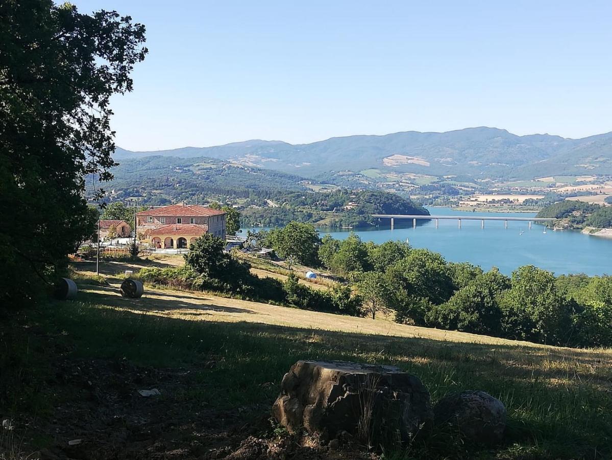 Podere Il Sasso Barberino di Mugello Dış mekan fotoğraf