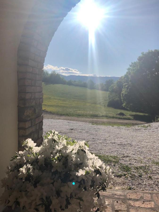 Podere Il Sasso Barberino di Mugello Dış mekan fotoğraf