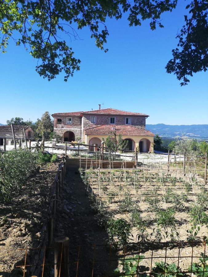 Podere Il Sasso Barberino di Mugello Dış mekan fotoğraf