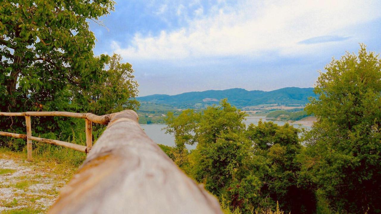 Podere Il Sasso Barberino di Mugello Dış mekan fotoğraf